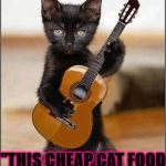 THE CAT SONG | WROTE A LITTLE SONG FOR MY HUMAN CALLED; "THIS CHEAP CAT FOOD GIVES ME DIARRHEA & TASTES LIKE IT TOO" | image tagged in the cat song | made w/ Imgflip meme maker