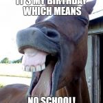 Funny Horse Face | IT'S MY BIRTHDAY WHICH MEANS; NO SCHOOL! | image tagged in funny horse face | made w/ Imgflip meme maker
