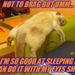 Reposting one I did a few months back! Cat Week - May 11-13, a Landon_the_memer, 1forpeace, & JBmemegeek Event!  | NOT TO BRAG BUT UMM... I'M SO GOOD AT SLEEPING I CAN DO IT WITH MY EYES SHUT. | image tagged in sleeping cat,nixieknox,memes,cat weekend | made w/ Imgflip meme maker