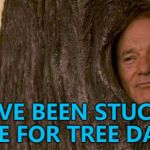 I'm knot kidding... :) | I'VE BEEN STUCK HERE FOR TREE DAYS... | image tagged in stay in the trees,memes | made w/ Imgflip meme maker