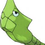 Metapod