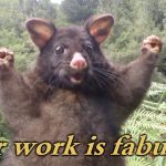 Positive Possum | Your work is fabulous! | image tagged in positive possum | made w/ Imgflip meme maker