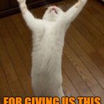 praising cat | PRAISE FAUST; FOR GIVING US THIS MIGHTY DAILY DEAL | image tagged in praising cat | made w/ Imgflip meme maker