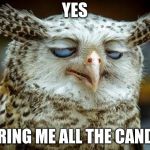 Pleased owl | YES; BRING ME ALL THE CANDY | image tagged in pleased owl | made w/ Imgflip meme maker