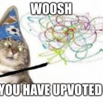 Woosh cat | WOOSH YOU HAVE UPVOTED | image tagged in woosh cat | made w/ Imgflip meme maker