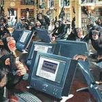 monkeys computers