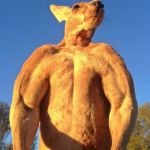 Do you even lift kangaroo | WHEN YOU WALK INTO THE GYM AND TAKE YOUR SHIRT OFF; HOLY SH*T | image tagged in do you even lift kangaroo | made w/ Imgflip meme maker
