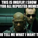 Repeat after me | THIS IS IMGFLIP, I SHOW YOU ALL REPOSTED MEMES; UNTIL YOU TELL ME WHAT I WANT TO KNOW | image tagged in repeat after me | made w/ Imgflip meme maker