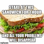 Don't tell me it's dumb. I hate when people tell me things I already know. At least it's not racist or sexist like some memes. | STARE AT THIS SANDWICH FOR 1 HOUR; AND ALL YOUR PROBLEMS WILL DISAPPEAR | image tagged in sandwich | made w/ Imgflip meme maker