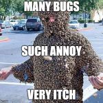 Bugs | MANY BUGS; SUCH ANNOY; VERY ITCH | image tagged in bugs | made w/ Imgflip meme maker