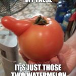 tomato boner | THIS IS NOT MY FALSE; IT'S JUST THOSE TWO WATERMELON IS SO DAMN HUGE | image tagged in tomato,memes,watermelon,boner,funny | made w/ Imgflip meme maker