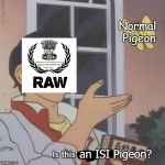 Is this a pigeon? with text | Normal Pigeon; an ISI Pigeon? | image tagged in is this a pigeon with text | made w/ Imgflip meme maker