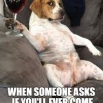 As if dog | WHEN SOMEONE ASKS IF YOU'LL EVER COME OUT OF RETIREMENT | image tagged in dog drinking wine | made w/ Imgflip meme maker