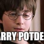 Harry Potter Stoned | HARRY POTDERP | image tagged in harry potter stoned | made w/ Imgflip meme maker