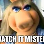 When someone says something bad about my appearance..  | WATCH IT MISTER! | image tagged in mad miss piggy | made w/ Imgflip meme maker