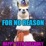 Happy Birthday Alpaca Meme Generator - Imgflip
