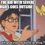 I think its a asthma attack | WHEN THE KID WITH SEVERE ALLERGIES GOES OUTSIDE | image tagged in what kind of bird is this,kid with allergies goes outside | made w/ Imgflip meme maker