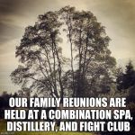 Tree Quote Inspirational | OUR FAMILY REUNIONS ARE HELD AT A COMBINATION SPA, DISTILLERY, AND FIGHT CLUB | image tagged in tree quote inspirational | made w/ Imgflip meme maker