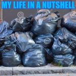ie11 trash | MY LIFE IN A NUTSHELL | image tagged in ie11 trash | made w/ Imgflip meme maker