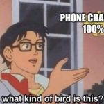 What kind of bird is this? | PHONE CHARGED 100% | image tagged in what kind of bird is this | made w/ Imgflip meme maker