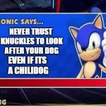 sonic says... meme | NEVER TRUST KNUCKLES TO LOOK AFTER YOUR DOG; EVEN IF ITS A CHILIDOG | image tagged in sonic says meme | made w/ Imgflip meme maker