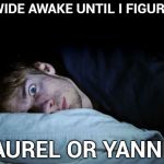 I only heard gibberish | I'LL BE WIDE AWAKE UNTIL I FIGURE IT OUT; LAUREL OR YANNI ? | image tagged in night terror,laurel,yahuah,see no one cares,language | made w/ Imgflip meme maker