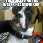 Blankie the Shocked Dog | WHEN YOU FLUSH THE TOILET AND THE WATER STARTS RISING | image tagged in blankie the shocked dog | made w/ Imgflip meme maker