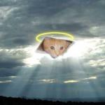 ceiling cat in the clouds meme