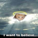 ceiling cat in the clouds | I want to believe... | image tagged in ceiling cat in the clouds | made w/ Imgflip meme maker