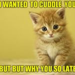 kitten | I WANTED  TO CUDDLE  YOU; BUT BUT WHY YOU SO LATE | image tagged in kitten | made w/ Imgflip meme maker