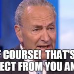 Vote Democrat | WELL OF COURSE!  THAT'S WHAT WE EXPECT FROM YOU ANIMALS | image tagged in upchuck shoo elmers glue,chuck schumer memes | made w/ Imgflip meme maker