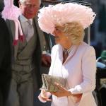 Ossie Ostrich Wants His Feathers Back Camilla