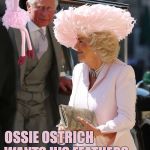 Ossie Ostrich wants his feathers back Camilla | OSSIE OSTRICH; WANTS HIS FEATHERS BACK, CAMILLA | image tagged in royal wedding,harry  meghan,ossie ostrich,meme,camilla,prince charles | made w/ Imgflip meme maker