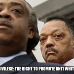 Al Sharpton and Jesse Jackson are not amused | BLACK PRIVILEGE: THE RIGHT TO PROMOTE ANTI WHITE RACISM | image tagged in al sharpton and jesse jackson are not amused | made w/ Imgflip meme maker