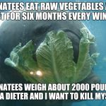 Weight Loss Manatee | MANATEES EAT RAW VEGETABLES AND FAST FOR SIX MONTHS EVERY WINTER; MANATEES WEIGH ABOUT 2000 POUNDS I'M A DIETER AND I WANT TO KILL MYSELF | image tagged in weight loss manatee,dieting,manatee,overlord manatee | made w/ Imgflip meme maker