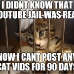 cat jail | I DIDNT KNOW THAT YOUTUBE JAIL WAS REAL! NOW I CANT POST ANY CAT VIDS FOR 90 DAYS | image tagged in cat jail | made w/ Imgflip meme maker