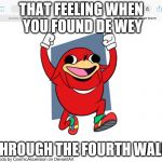 Happy Ugandan knuckles | THAT FEELING WHEN YOU FOUND DE WEY; THROUGH THE FOURTH WALL. | image tagged in happy ugandan knuckles | made w/ Imgflip meme maker