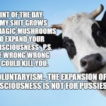 Cow face | HINT OF THE DAY.      MY SHIT GROWS THE MAGIC MUSHROOMS TO EXPAND YOUR  CONSCIOUSNESS.  P.S. THE WRONG WRONG ONE  COULD KILL YOU. VOLUNTARYISM.. THE EXPANSION OF CONSCIOUSNESS IS NOT FOR PUSSIES | image tagged in cow face | made w/ Imgflip meme maker