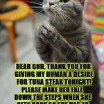 THE FELINE PRAYER | DEAR GOD, THANK YOU FOR GIVING MY HUMAN A DESIRE FOR TUNA STEAK TONIGHT! PLEASE MAKE HER FALL DOWN THE STEPS WHEN SHE GETS BACK SO SHE HAS TO GO TO THE HOSPITAL & THEN I CAN STEAL THE TUNA STEAK WITHOUT GETTING CAUGHT! AMEN! | image tagged in the feline prayer | made w/ Imgflip meme maker