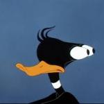 Daffy Duck Meme Generator - Imgflip