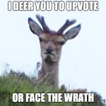 furious deer | I DEER YOU TO UPVOTE; OR FACE THE WRATH | image tagged in furious deer | made w/ Imgflip meme maker