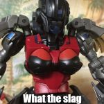 Echara | What the slag the wrong with you? | image tagged in echara | made w/ Imgflip meme maker