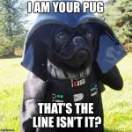 Darth Pug | I AM YOUR PUG; THAT’S THE LINE ISN’T IT? | image tagged in darth pug | made w/ Imgflip meme maker