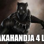 Black Panther | WAKAHANDJA 4 LIFE | image tagged in black panther | made w/ Imgflip meme maker