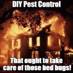 House Fire | DIY Pest Control; That ought to take care of those bed bugs! | image tagged in house fire | made w/ Imgflip meme maker