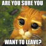 Sad cat | ARE YOU SURE YOU; WANT TO LEAVE? | image tagged in sad cat | made w/ Imgflip meme maker