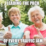 Seniors approve | LEADING THE PACK; OF EVERY TRAFFIC JAM | image tagged in seniors approve | made w/ Imgflip meme maker