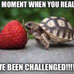 Turtle with Strawberry | THAT MOMENT WHEN YOU REALIZE.... YOU’VE BEEN CHALLENGED!!!!!!!!!!! | image tagged in turtle with strawberry | made w/ Imgflip meme maker