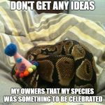 Birthday snake | DON'T GET ANY IDEAS; MY OWNERS THAT MY SPECIES WAS SOMETHING TO BE CELEBRATED | image tagged in birthday snake | made w/ Imgflip meme maker