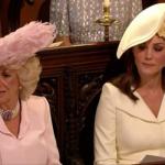 Camilla's Hat - Australia Mourns the Death of Ossie Ostrich 